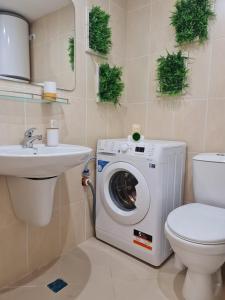 Little Treasure by the Sea