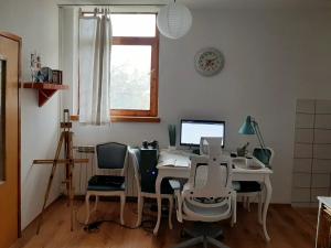 Lovely bright Apartment with Backyard-renovated!