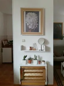 Lovely bright Apartment with Backyard-renovated! - Sremska Kamenica