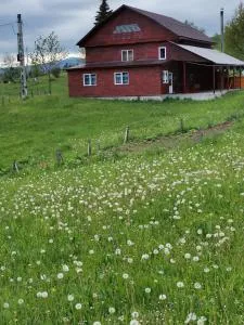 Cabana Elena - Gheţari