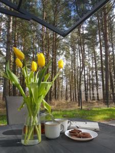 Domek MorzeLasu Ostrowo Jastrzębia Góra