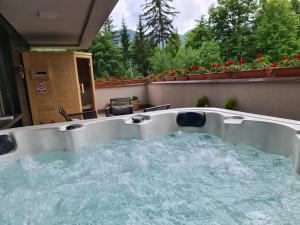 Mariah Spa Deluxe Apartment in SILVER MOUNTAIN