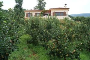 Spacious Paradise with stone-build patio Pelion Greece