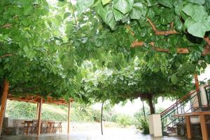 Spacious Paradise with stone-build patio Pelion Greece