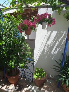 To limanaki Messinia Greece