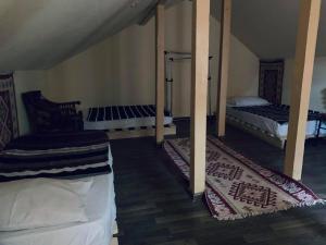 The best view on Tbilisi