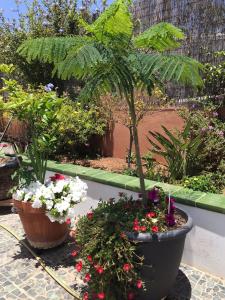 Apartamento con encanto en la playa frente al mar "Posada Rent House"