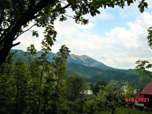 Drevenica Art Galery