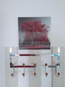 Raza Soarelui apartament de lux