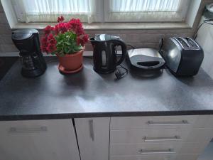 Raza Soarelui apartament de lux