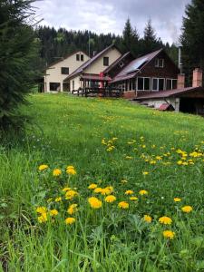 Pensiunea Zorile Tarcaului