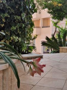 Apartments Boreta II