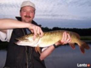 Marka Pokoje Gościnne