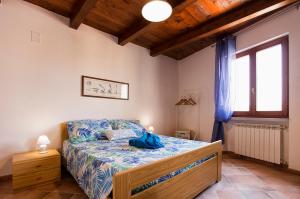 Alghero Gilbert Ferret img7