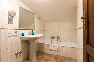 Alghero Gilbert Ferret img39