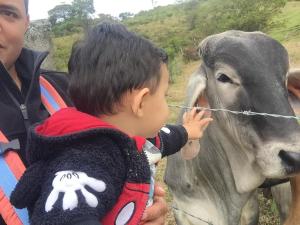 Hotel Campestre La Fuente - Piscina