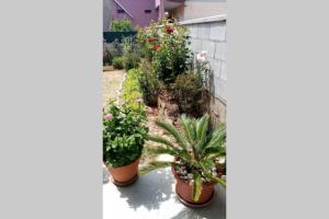 Casa vacanze Millefiori img25