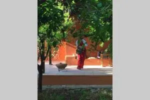 Tzitzikari, Private Cottage in a Citrus Garden - Livanátai