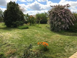 Maisons de vacances Les gites de Belle Roche : Studio avec Vue sur Jardin