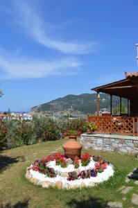 Remvi Apartments Skopelos Greece