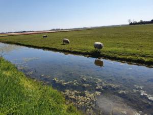 Bed & Breakfast De Leekerhoek