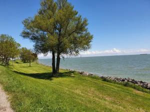 Bed & Breakfast De Leekerhoek