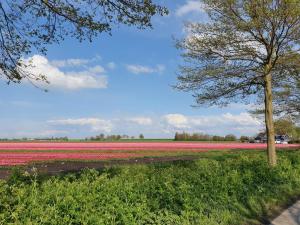 Bed & Breakfast De Leekerhoek