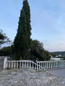 Apartments Stella-Dora