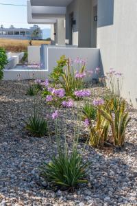 NM Apartments Kos Greece