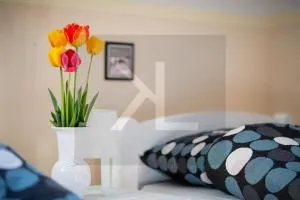 Camper Park Kopań - Zizow