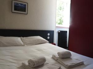 Hotels HOTEL LE FOIRAIL : photos des chambres
