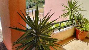 Sesimbra Oceanview Luxury Duplex with Pool & Gym near Lisbon