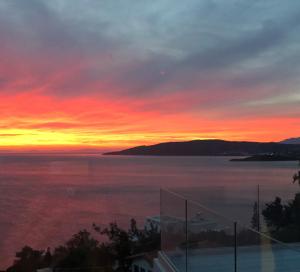 Blue Frames Summer House