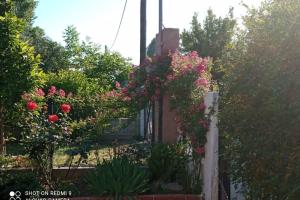 Yard of paradise Pelion Greece