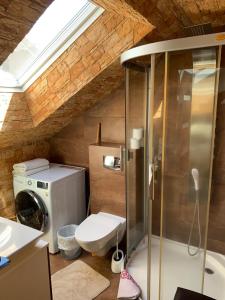 Apatamentas Nidos centre