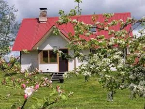 Mesikamäe Saunamaja - Ihamaru