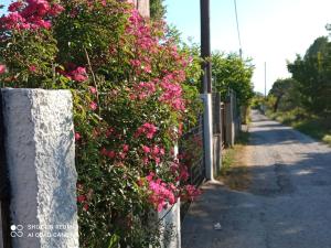 Yard of paradise Pelion Greece