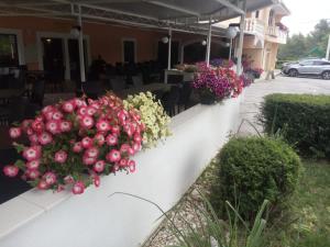 Pansion restoran Marin