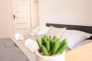 Apartamenty City Center Silver - bezpłatny parking