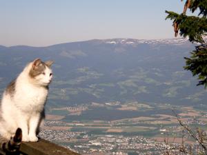 Hotel Garni Gästehaus Karin