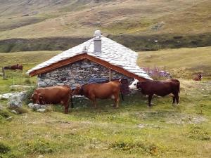 Les Balcons PROCHE PARC NATIONAL VANOISE appartements 2 pieces 6 pers MONTAGNE SUPERIEUR : photos des chambres