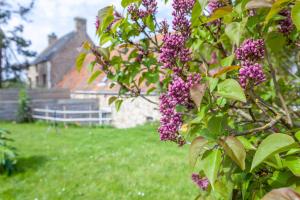 Maisons de vacances Holiday Normandy se ressourcer a deux pas de la Mer : photos des chambres