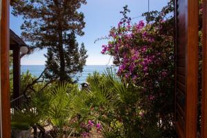 Casa sulla spiaggia 1 img29