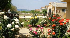 Apartment in Privlaka with sea view, balcony, air conditioning, W-LAN 667-3 - 3hvězdičkové hotely ve městě Privlaka