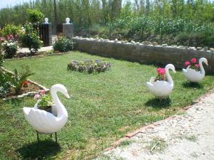 Apartment in Privlaka with sea view, balcony, air conditioning, W-LAN 667-3