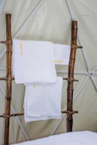 Amanya Camp 1 Double -Bed Tiger in Amboseli