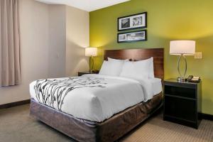 Queen Room - Disability Access/Non-Smoking room in Sleep Inn Allentown-Fogelsville