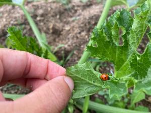 Il Nuraghe del lago Coghinas img80