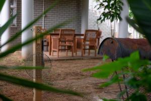 16 st Johns - Apartment