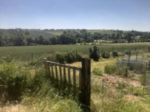 La Gaucherie aux Dames